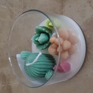 Cactus Succulent Soy Wax Candle